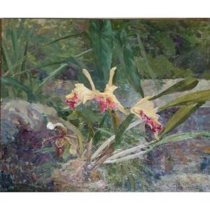 Orchids. Francois Forichon