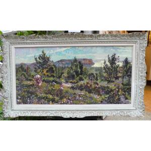 Picking Thyme, La Gardiole In Cassis By Zimmermann