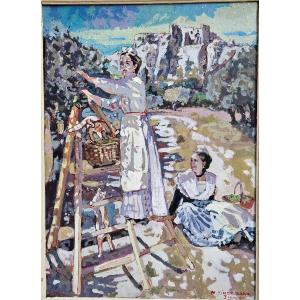 The Leases Of Provence By Michel Zimmermann