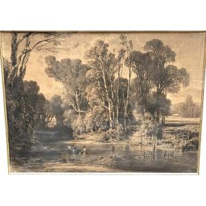 Charcoal By Vincent Courdouan 1810-1893