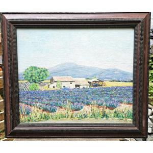 Lavender Fields By Jean Fayard 1919-2008