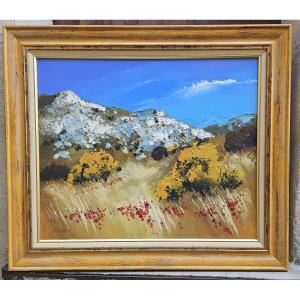 Poppies And Broom By Fabien Novarino Born In 1963