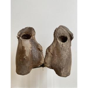 Carved Walrus Skull – Inuit Alaska