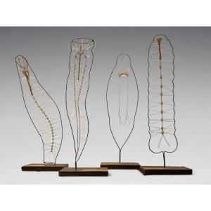 Nervous System From Deyrolle