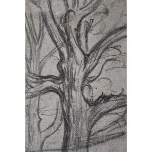 Jean-baptiste Frénet, Landscape With A Tree (circa 1840-1850)