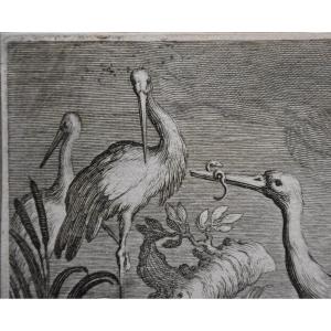 Boetius Adamsz Bolswert After Abraham Bloemaert, The Storks (1611)