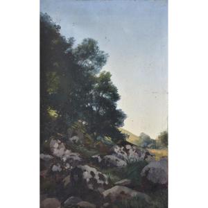 Laurent Guétal, Trees And Rocks (circa 1880)