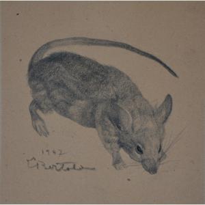 Louis Bertola (1891-1973), The Rat (1947)