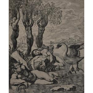 Pierre Brebiette (mantes 1598 - Paris 1650), Cygnus (1655)