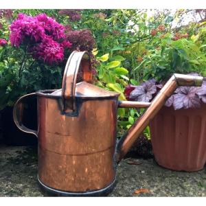 Important Copper Watering Can