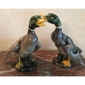 The Duck In Barbotine
