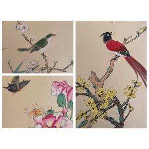 Watercolor On Paper, China, Signed 