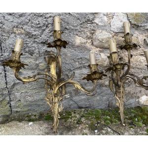 The Pair Of Large Gilt Bronze Wall Lights (47 Cm) 