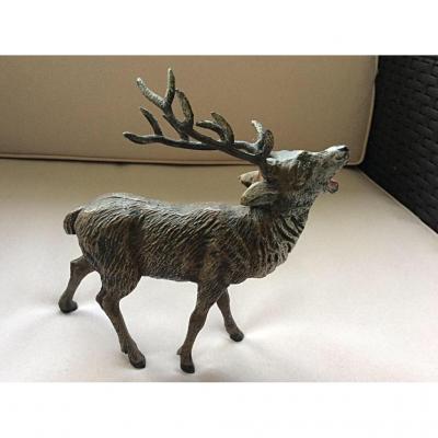Deer, Vienna Lead