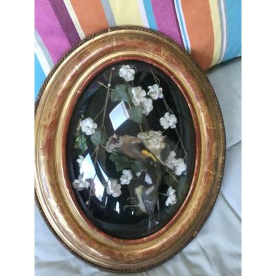 Golden Wood Frame With Naturalized Birds, Nap III