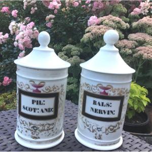 The Two Small Faience Pharmacy Pots