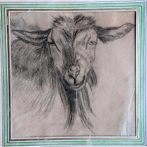 François Simon (1818-1896), Head Of Goat, Drawing Lead Mine, Recorded On The Back 1850