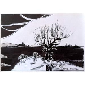 Raphael Arnal (1906-1963), Le Vieux Murier, Ink On Paper, Signed, Framed, 1932