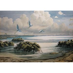 Karl Andre Zimmermann (1904-1991) Mangrove Herons Florida America