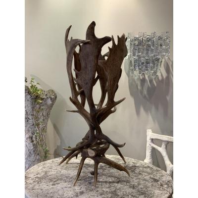 Large "horn Horn Vase