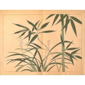 Japanese Print By Tessai: Bamboo