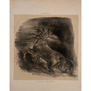 Lithograph By Eugène Delacroix: Wild Horse