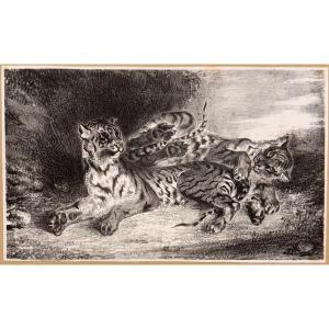 Lithograph By Delacroix: Young Tiger Playing With His Mother 