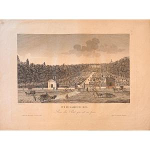 Early 19th Century Engraving By Fortier: View Of The King's Garden Or Jardin Des Plantes