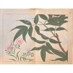 Japanese Print By Tessai: Shiki No Hana 