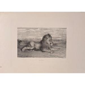 Print By Barye: Lion Of Persia