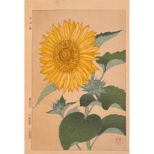 Japanese Print By Shodo: August, Himawari, Sunflower