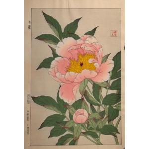 Japanese Woodblock Print By Shodo: June, Shakuyaku