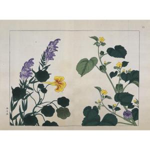 Japanese Print By Tessai: Shiki No Hana, Aconit, Capucine, Abutilon