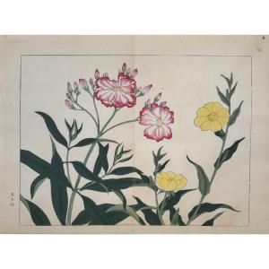 Japanese Print By Tessai: Shiki No Hana, Double Rose Laurel, Onager