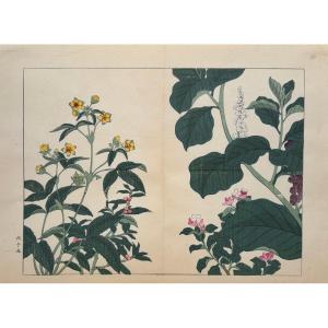 Japanese Print By Tessai: Shiki No Hana, Lysimaque, Deutzia, Phytolaque d'Amerique