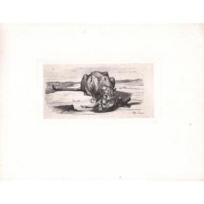 Etching Of Sand Lance: Leopard And Its Prey