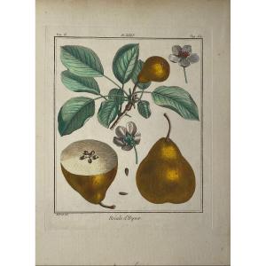 18th Century Engraving : Roiale (sic) d'Hiver