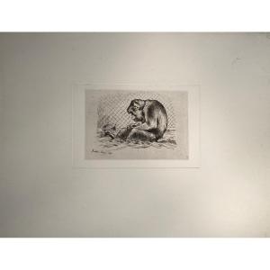 Lançon Print: The Monkey