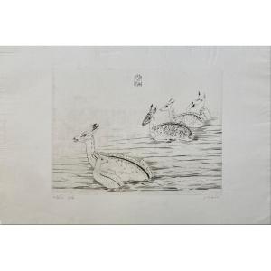 De Hecht Engraving: Indochinese Deer