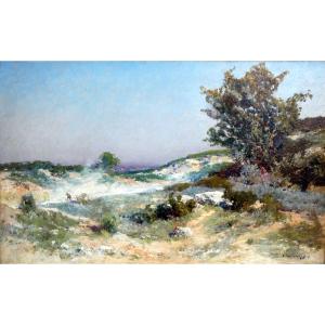 Théophile Décanis (1847-1917) Gale In The Provençal Garrigue