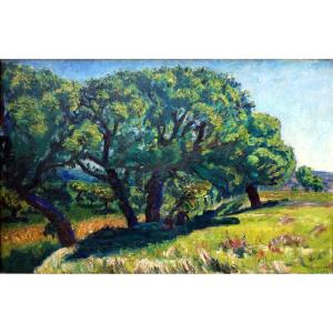 René Seyssaud (1867-1952) Resting Under The Great Oaks