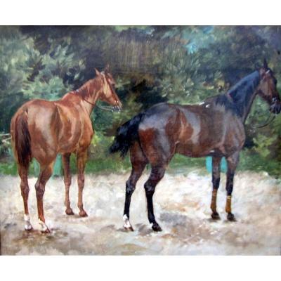 School Nineteenth Horses