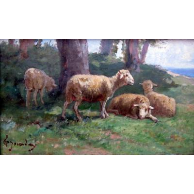 Théodore Jourdan (1833-1908) Sheep At Rest