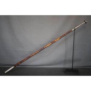 A Rare Makhila Basque Cane In Beef Sinew - Signed Ainciart à Larressore 1913