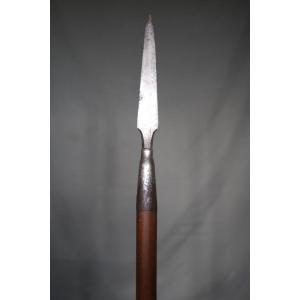 Hunting Spear, Naval Pike? France 19th Century