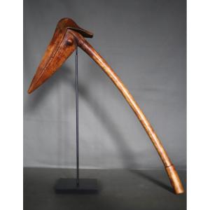Kanak Bird-beak Club - Melanesia, New Caledonia, Early 20th Century Or Earlier