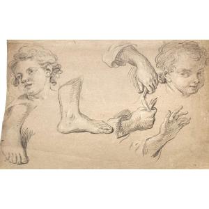 Parrocel Pierre (1670-1739) "study Of Feet, Hands And Faces" Black Chalk Drawing
