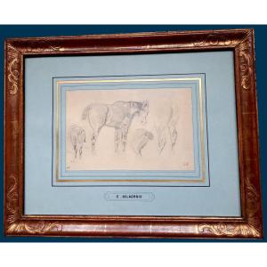 Delacroix Eugène (1798-1863) "study Of Horses" Drawing/black Pencil, Stamp, E.calando Collection