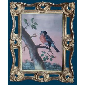 Agricola Christoph Ludwig (1667-1719) German School "birds On A Branch" 2 Gouaches, 18th Frames