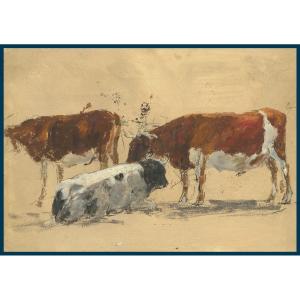 Boudin Eugène (1824-1898) Attrib. To,"study Of Cows" Drawing, Oil/paper On Black Pencil Lines